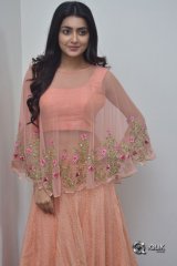 Avantika Mishra At Vaishakham Movie Success meet